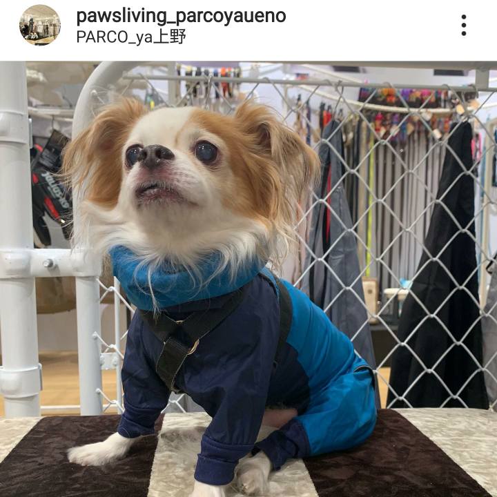 596de269 3484 48a8 b078 156d711427f8 1608546509032