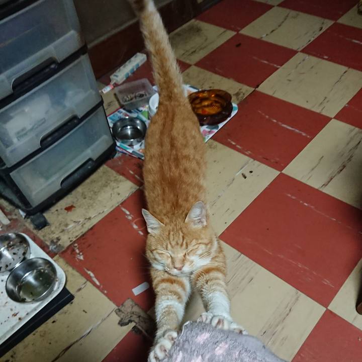 596de692 6aea 481d 958e 13c6c5cef83c 1594931872774