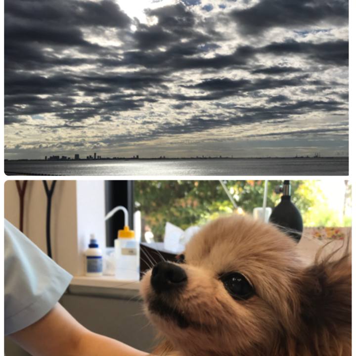 596deee9 5713 4222 8911 63ea4e989e4a 1534460310909