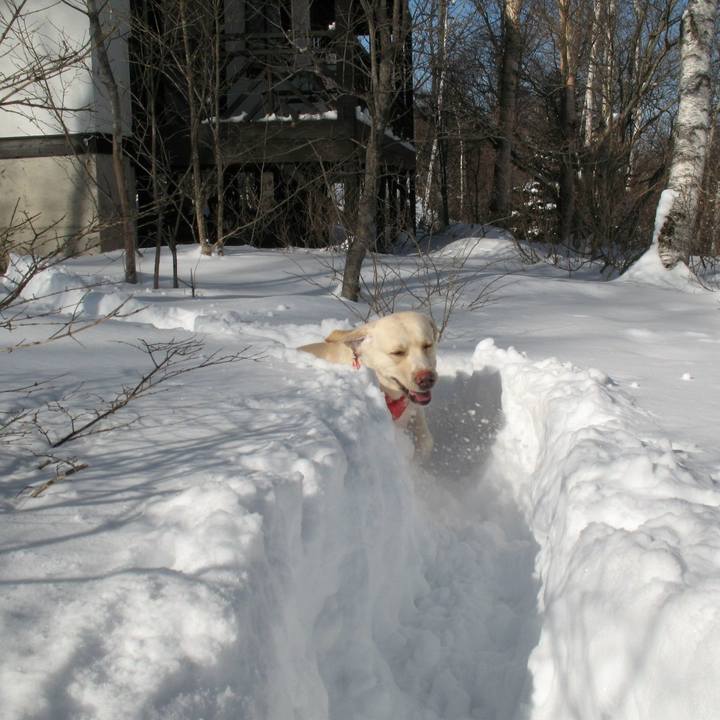 596def6b ceea 4ed6 8a08 11f6a37daf5d 1707548901879