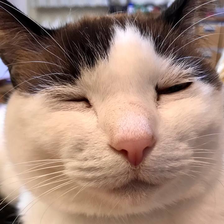 596e05b1 2269 49d4 8c6b b453642c0399 1548492390357