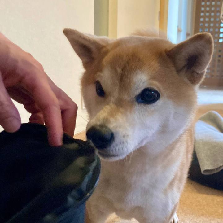 596e1100 93ba 4753 8317 8508a4bea870 1743303989170