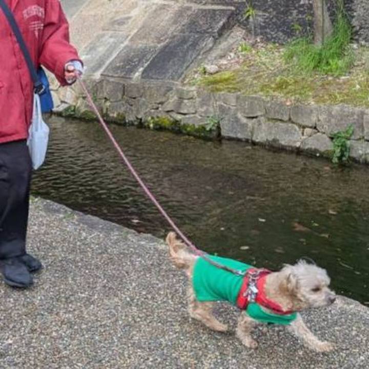 596e2dfb 7e19 4008 ab7b 5406b4d0cfc7 1743666331337