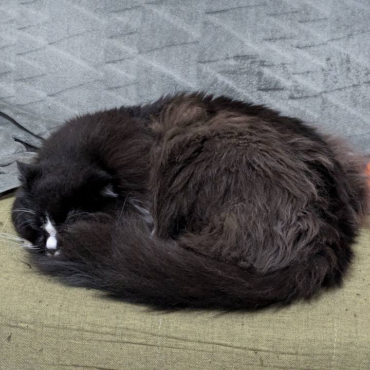 596e38fa 959c 46ee af90 7b91126c148d 1730203295701