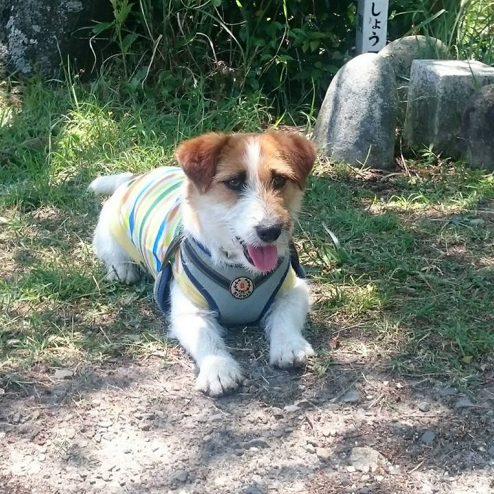 596e4277 d5a3 429b 872b 527da0f76426 1559999672558