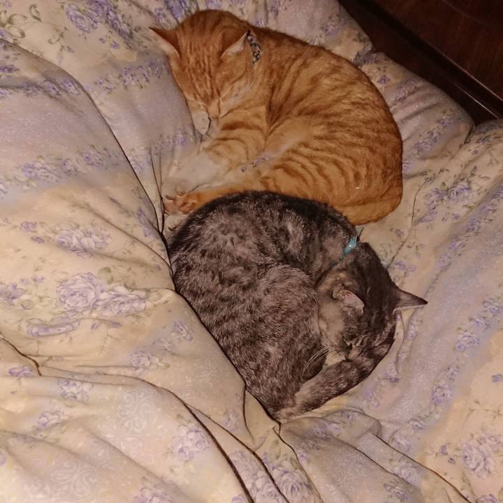 596e52b3 32c4 4918 8eb9 70fc46050b7b 1573313898476