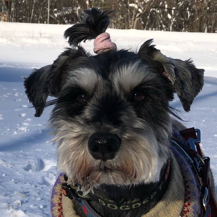 596e5df5 137f 4eda a2f3 4a82f386346c 1641650258652