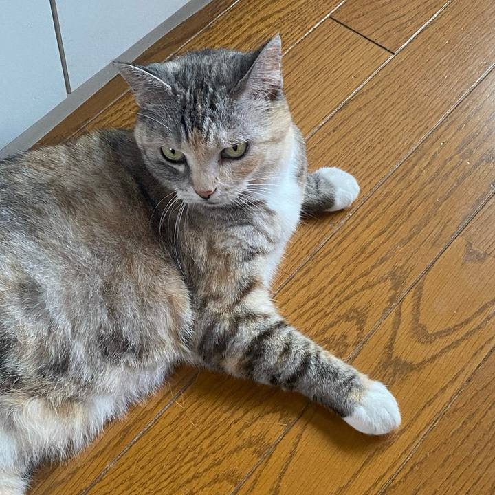 596e6e12 5bf8 4b37 8a9c e4d3596267cc 1659141340862