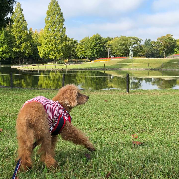 596ebf17 3df2 4378 b1f9 1d4f49a106f2 1664671197723