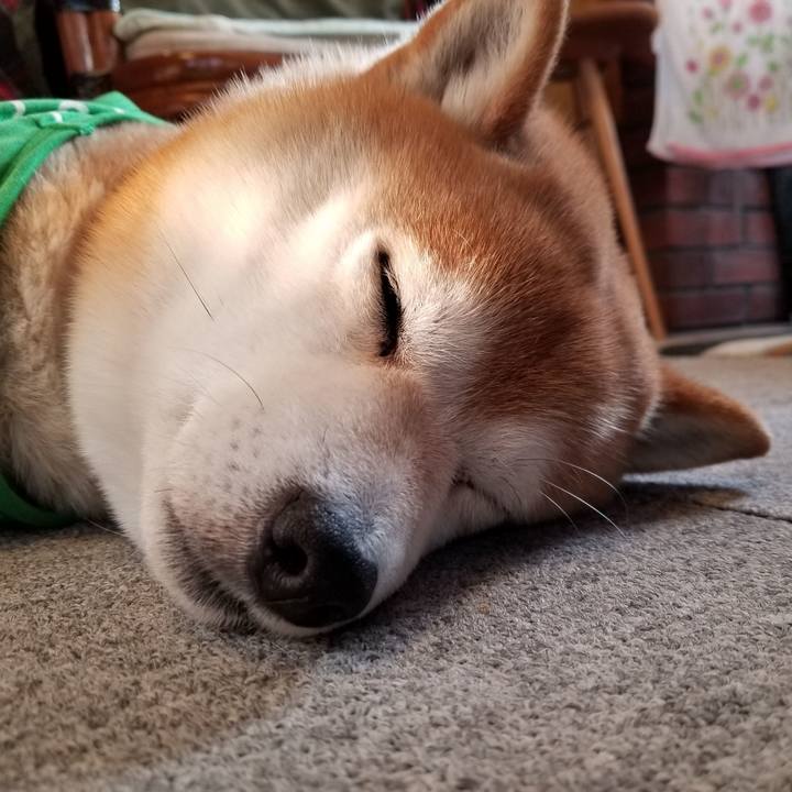 596eccd8 fd3f 461f b940 e8e0b0582ff9 1586556144024