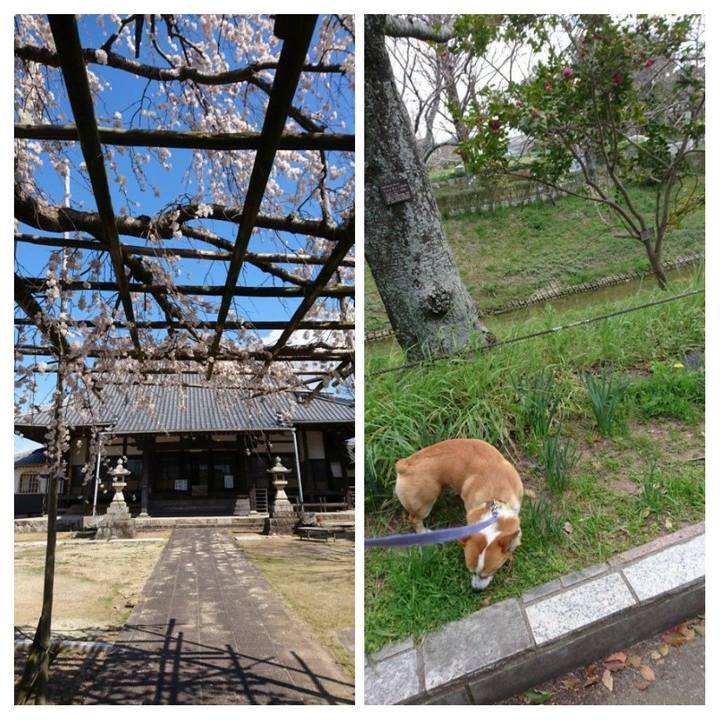 596ef002 9cb4 4721 af6e 9346400f5008 1585047979618