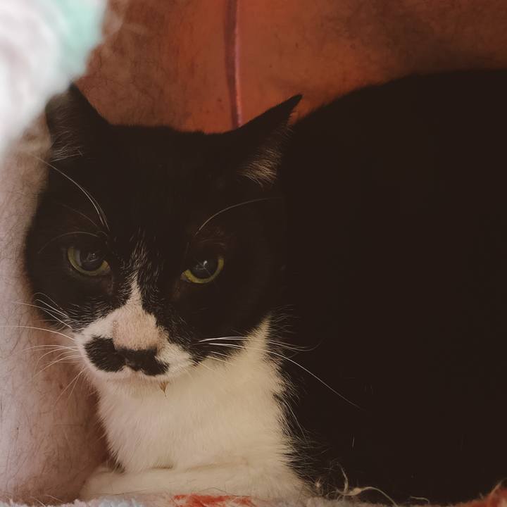 596f07ab 4b95 4b4b 87a0 385b265d12d8 1651383601628