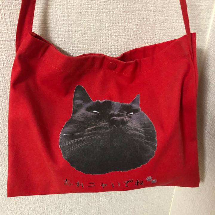 596f2e85 36f8 43d4 95d5 f4f67b5d1f91 1645474694993