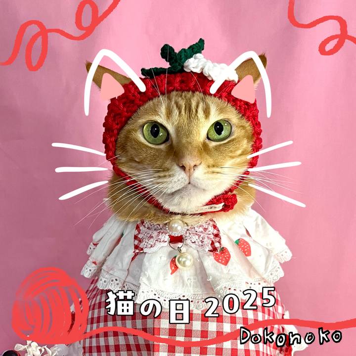 596f3f90 0c1c 4729 8ccb a2e29020a2ef 1740118703482