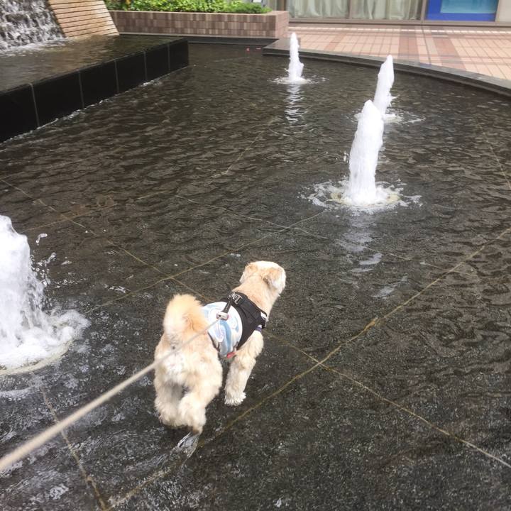 596f47ee 54dd 48eb 80e7 959f6e4aa882 1558176374013