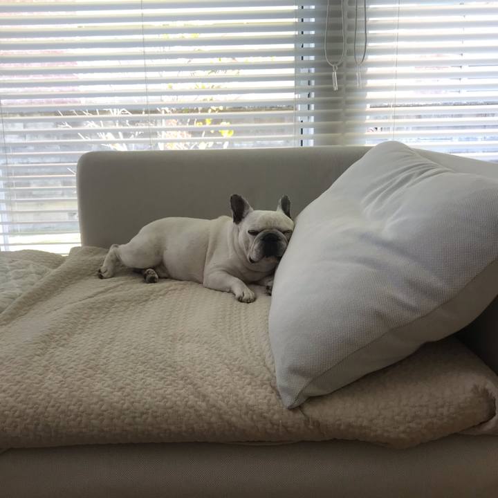 596f596c 820a 4bb2 b120 57f68c704d14 1600689276432