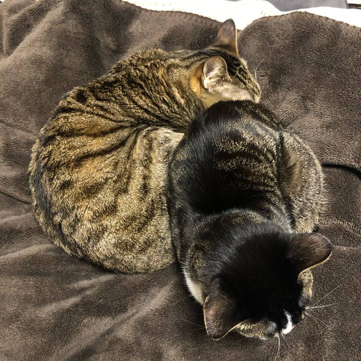 596f6c4f efda 4fa6 a937 d99c47a86a80 1581168218621