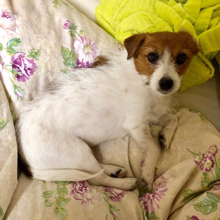 596f9b85 7cfd 4326 904e a27f8d15500b 1571725513583