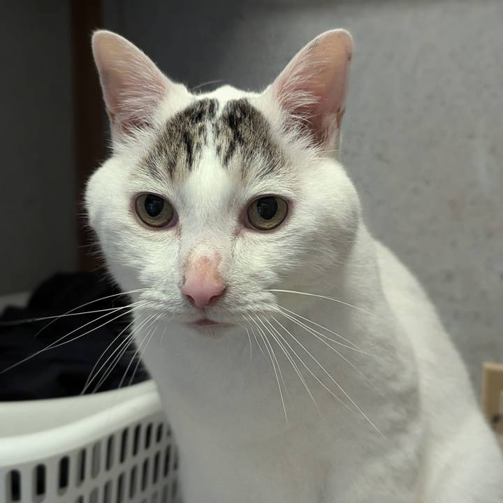 596fccc5 063b 43b5 92a1 38c51a731a14 1719577038414