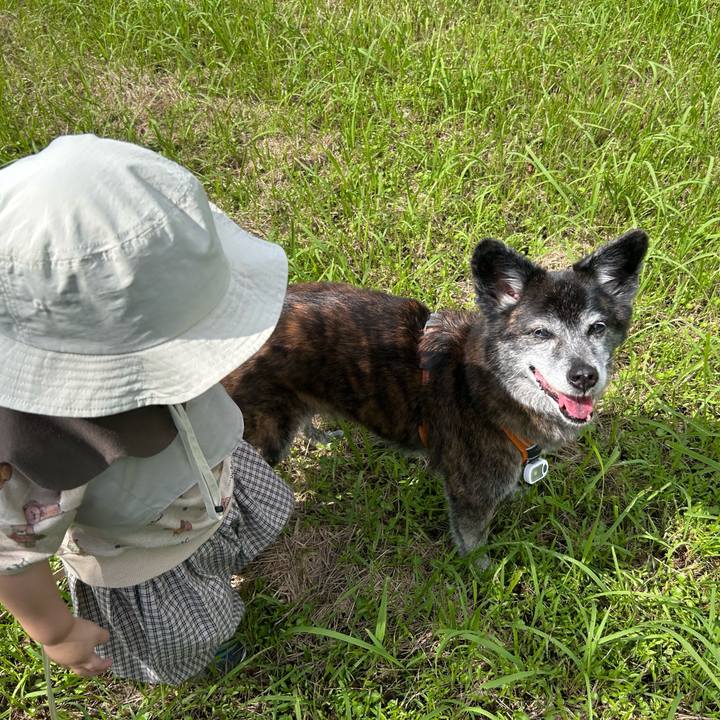 596fddca a247 4cb0 b054 778c1dbfcb90 1760968737875