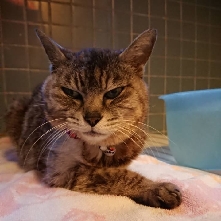 596ffd5f c534 4d23 b828 1d4852a9b2b0 1594807483741