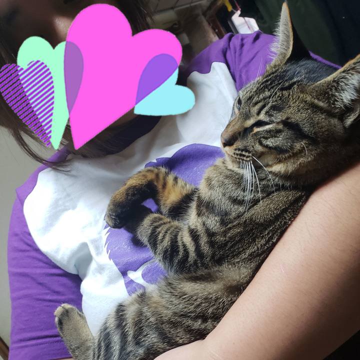 5970004a e560 4815 bb48 2c94207e91c0 1548231495820