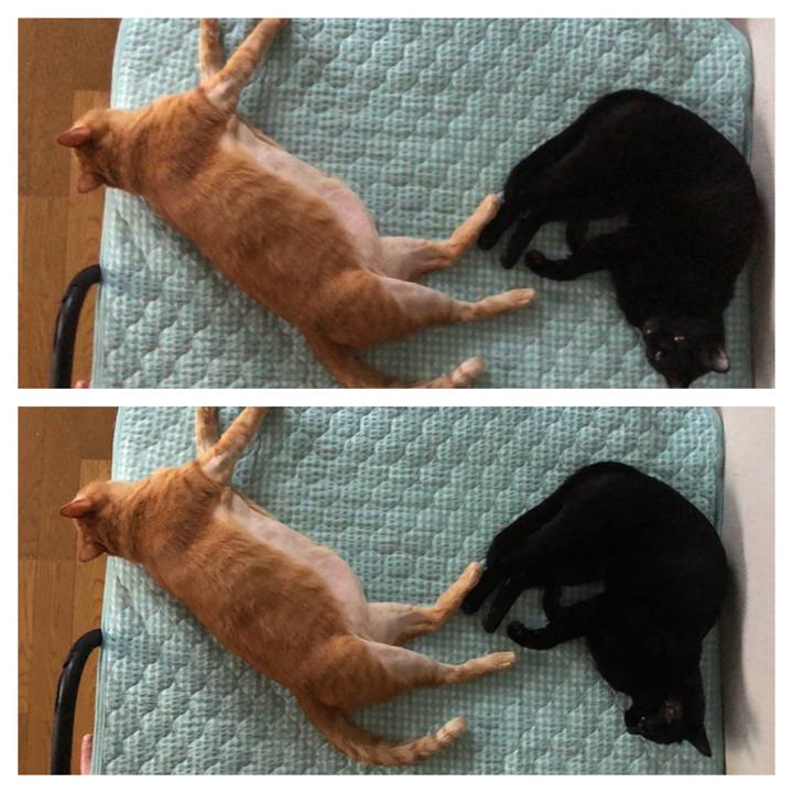 5970131d efa9 4d84 8942 382dd2f629fd 1661590609919