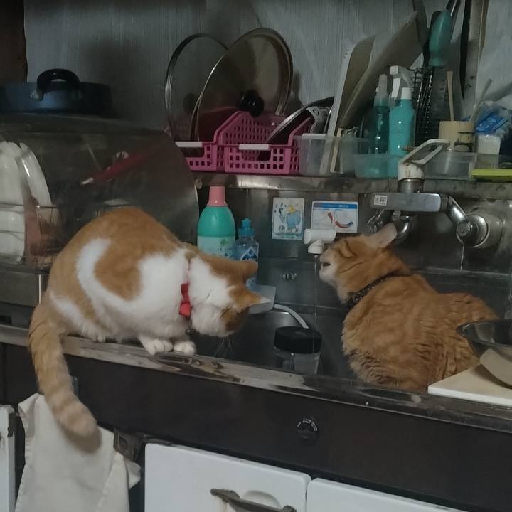 59703025 d680 4c65 b750 c26c4f14ea46 1762299394171