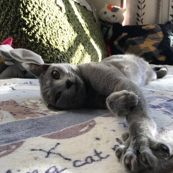 59705e99 3741 41d2 9d58 f985d0bfba86 1519222354267