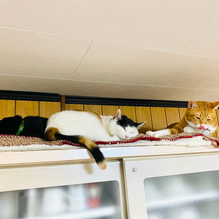 59707d85 0678 4972 a4f2 f7e4a94d6f51 1699964811004