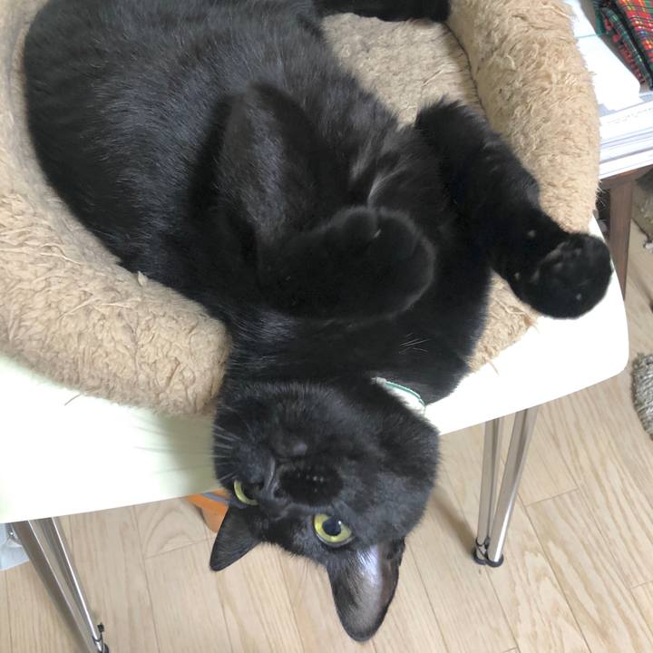 59709b17 ff8d 48c6 abde 973675e02b2d 1605103309645