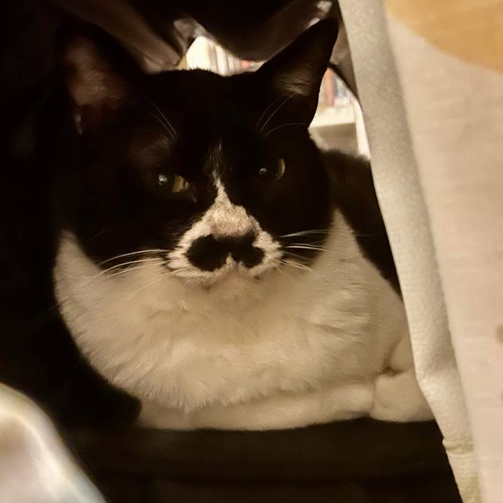 5970a22d bf48 472f a1c1 35ba86b7d2bc 1686054559400