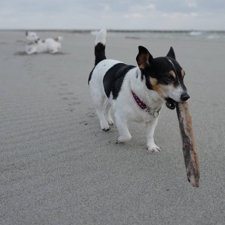 597100e7 839d 4d96 984a 1c507eed7c8d 1509857016800