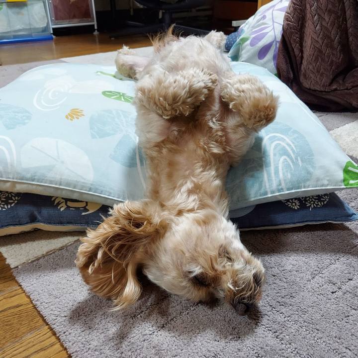 5971060a 96e1 47ab aa1e 4e0b41561018 1649593004066