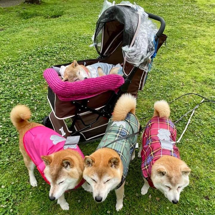 59713031 1dba 49d2 9b91 79c158935c66 1717196850481