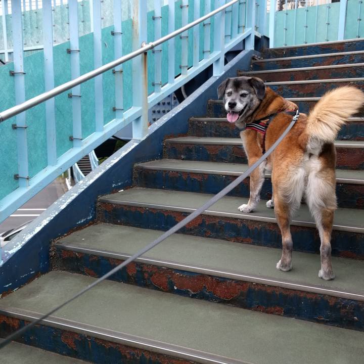 597148c8 4023 45db 8d86 13ad8e63e088 1525311813935