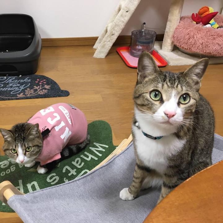 597161dc b76d 462a 8fc4 195c8ea6aa9c 1676590664114