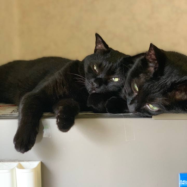 59717504 6fb4 4185 9c6c bcd15657bd58 1560473661156