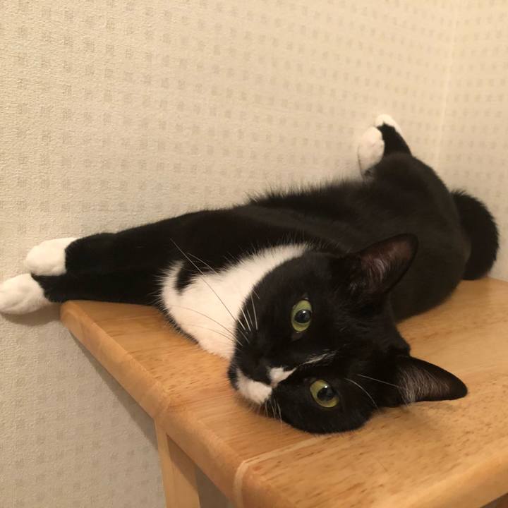 59718d9e 1cab 4421 9dc3 5053f4532c08 1530137239273