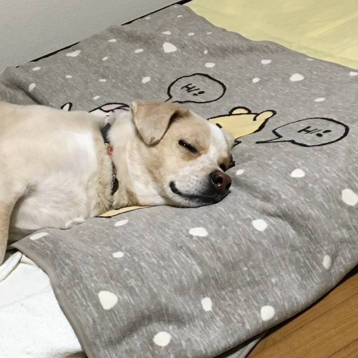 5971ad3f 392f 46f8 a93d 0f9e9246eda5 1542372454252