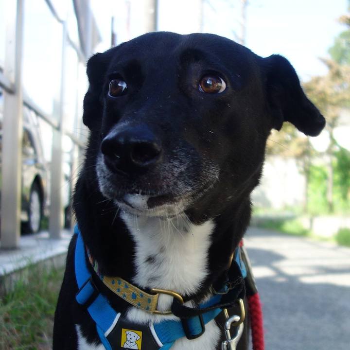 5971af83 0eae 4704 b802 4b3c882a60fd 1632269806402