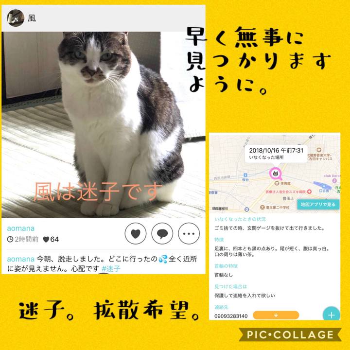 5971b665 5b7a 4ceb ac84 c93210a538a8 1539654350412