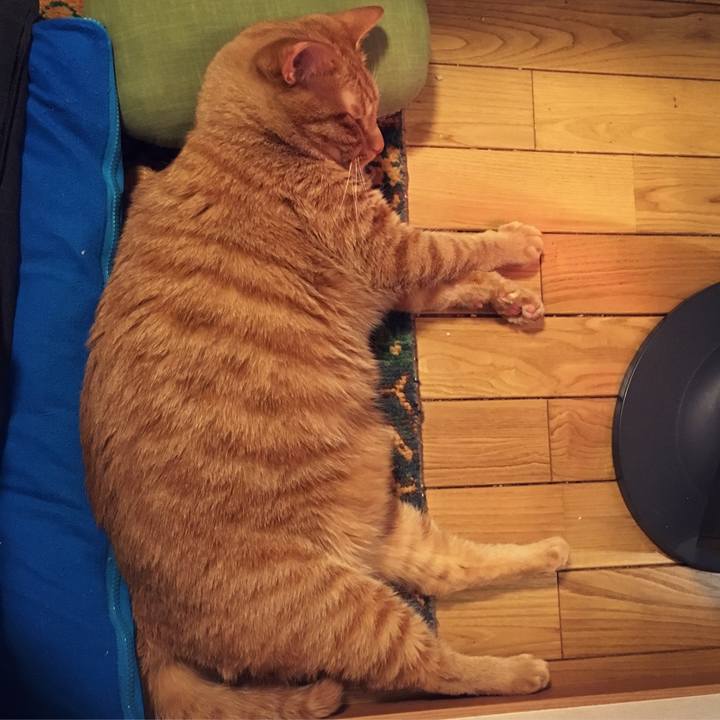 5971bece 1bc4 487f 912f 71f77768aab3 1520245624093