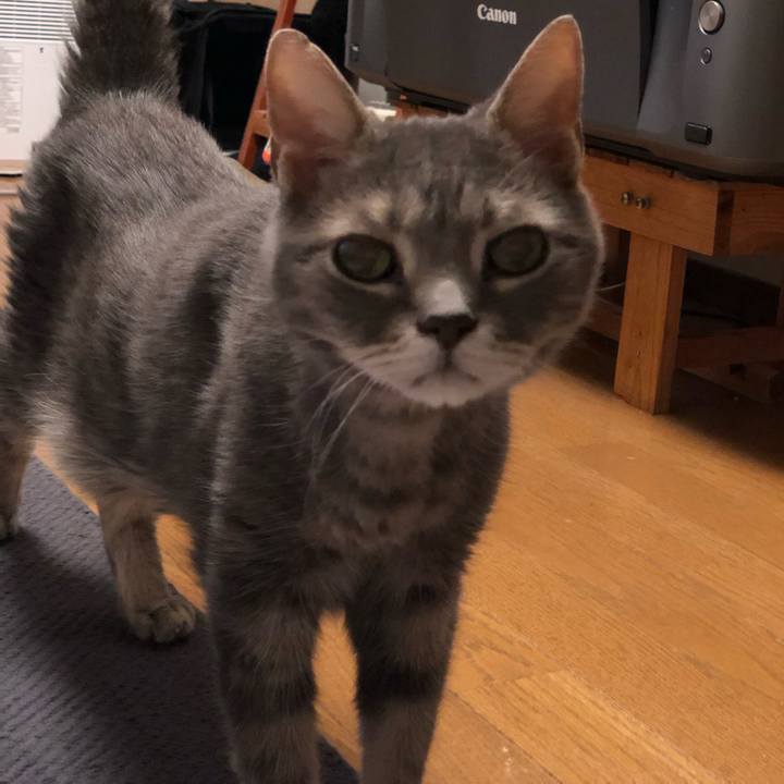 5971e2e1 2f9f 4dc8 831d 8d550676f03f 1565011513438