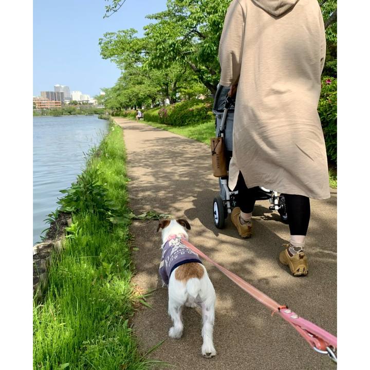 5971ef2d 8d36 47aa b515 d74039aea8cd 1620192036283