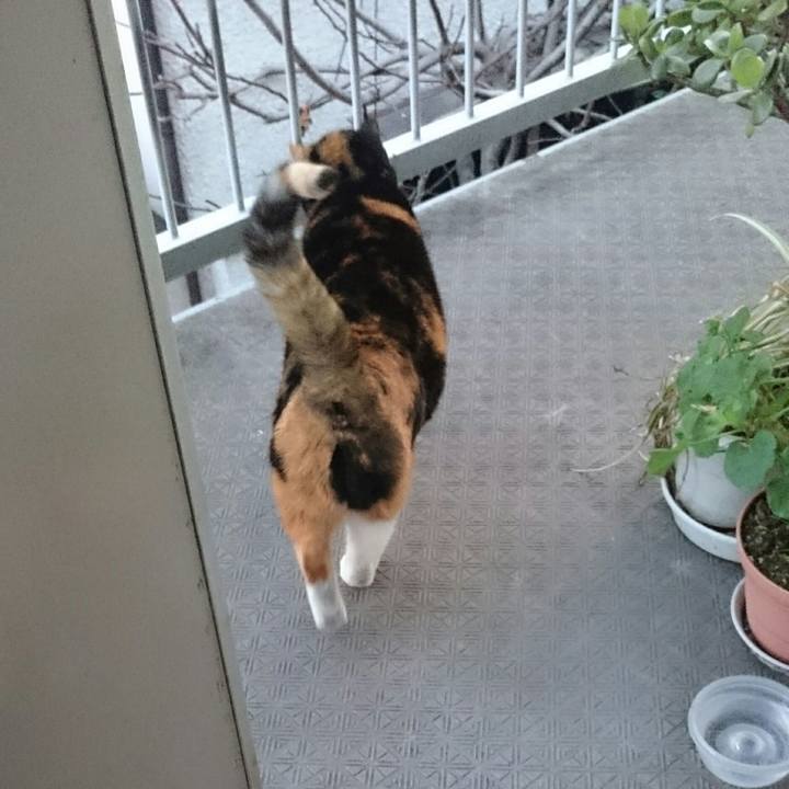 5971f889 0fd7 48d0 8166 5a52feca7926 1517196466811