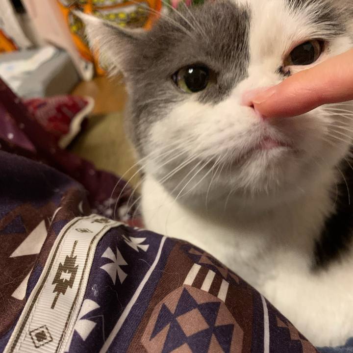 5971fc13 9d0b 428b 9012 dd5c0bf72203 1584105555680