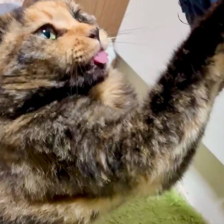 597234fe 6873 4ab2 a4f4 0a3459d3ae8b 1752012933536