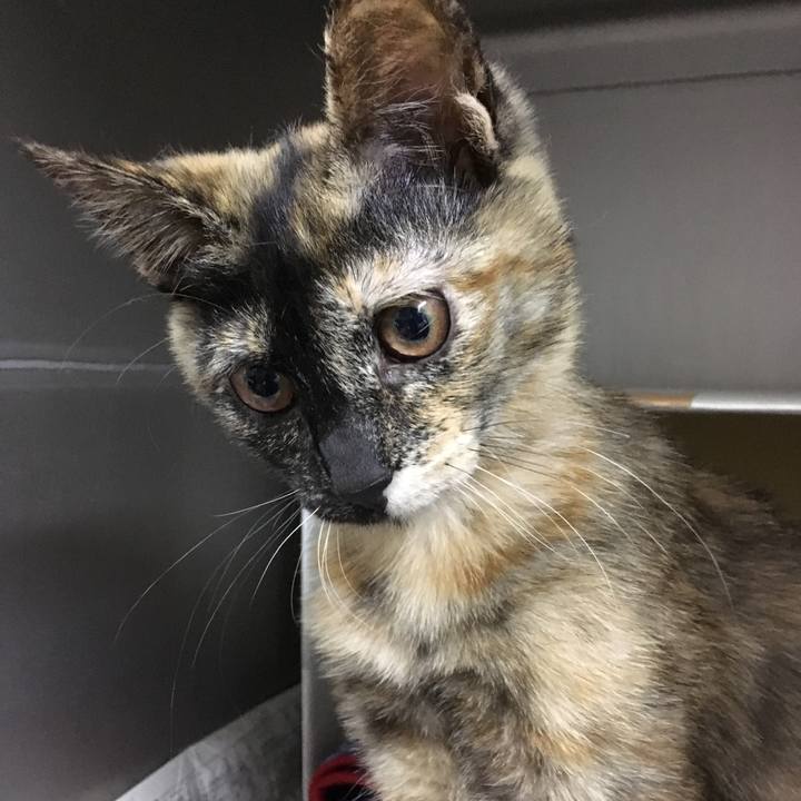 597244da c976 4a04 a834 9897cf89b1c1 1519304016974