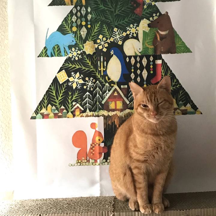 597257ab c83b 40a5 b659 94cdd0e0fb6d 1588125411316